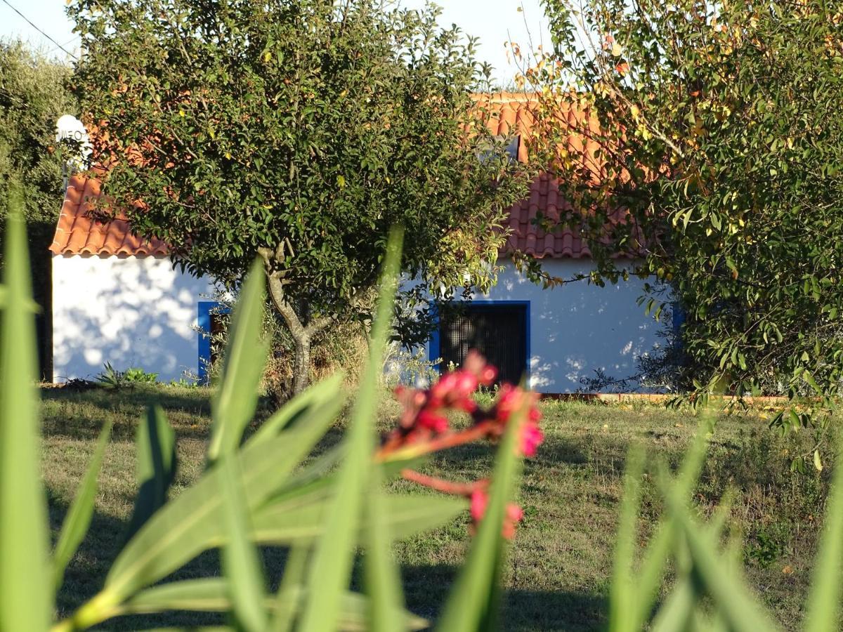 Quinta Das Teimosas By Stay In Alentejo Cercal do Alentejo Eksteriør billede